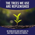 Sparkle Pick-A-Size Paper Towels, Spirited Prints, 6 Double Rolls = 12 Regular Rolls, Everyday Value Paper Towel With Full And Half Sheets - Image 8