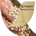 Nescafe Taster's Choice Instant Coffee, French Roast, 7 Ounce - Image 2