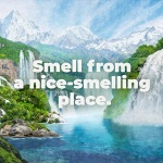 Irish Spring 5 in 1 Body Wash for Men, Men's Body Wash, Smell Fresh and Clean for 24 Hours, Conditions and Cleans Body, Face, and Hair, Made with Biodegradable Ingredients, 30 Oz Pump - Image 10