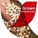 NESCAFE CLASICO Dark Roast Instant Coffee 10.5 oz. Jar - Image 2