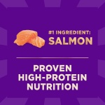 Wellness CORE+ Sensitive Skin & Stomach Dry Dog Food with Freeze Dried Pieces, Wholesome Grains, High Protein, Natural, Salmon & Rice Recipe, (4-Pound Bag) - Image 9