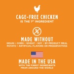 Instinct Raw Boost Mixers Gut Health Freeze-Dried Dog Food Topper, 5.5 oz. Bag - Image 6