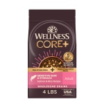 Wellness CORE+ Sensitive Skin & Stomach Dry Dog Food with Freeze Dried Pieces, Wholesome Grains, High Protein, Natural, Salmon & Rice Recipe, (4-Pound Bag)