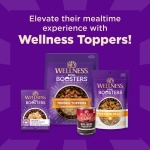 Wellness CORE+ Sensitive Skin & Stomach Dry Dog Food with Freeze Dried Pieces, Wholesome Grains, High Protein, Natural, Salmon & Rice Recipe, (4-Pound Bag) - Image 4