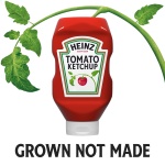 Heinz Tomato Ketchup (32 oz Bottle) - Image 5