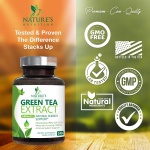 Green Tea Extract Capsules 1000mg 98% Standardized EGCG - 3X Strength for Natural Energy - Heart Support with Polyphenols - Gentle Caffeine - 240 Capsules - Image 7